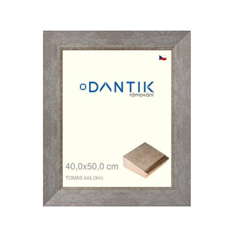 DANTIK rámeček 40 × 50, TOMAS bílý velký plexi čiré