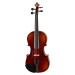 Gewa Allegro Violin Set 4/4