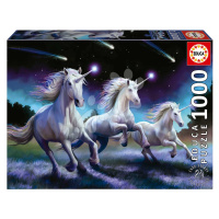 Puzzle Shooting Stars Anne Stokes Educa 1000 dílků a Fix lepidlo