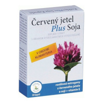 Červený jetel Plus Soja cps.30 -Rotklee Plus Soja