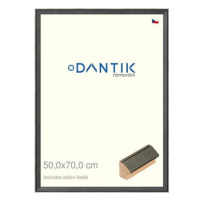 DANTIK rámeček 50 × 70, INCLINATA colori šedý plexi čiré