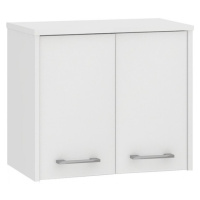 Koupelnová skříňka W 60cm FIN 2D bílá