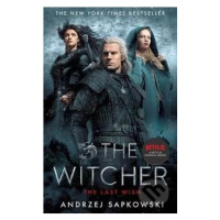 The Last Wish (Introducing the Witcher) - Andrzej Sapkowski - kniha z kategorie Fantasy