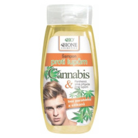 Drogerex BC Bione Cosmetics šampon proti lupům pro muže Cannabis 250 ml