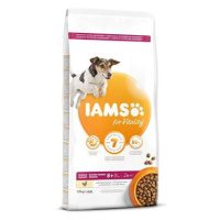 IAMS Dog Senior Small & Medium Chicken 12 kg