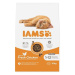 IAMS Cat Kitten Chicken 10 kg