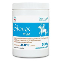 Barnys Sioux Msm 600g