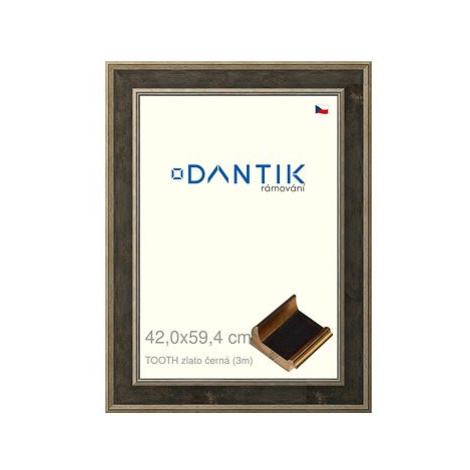 DANTIK rámeček 42 × 59,4, TOOTH zlato černý plexi čiré