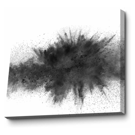 Wallity Obraz JULIET 70x100 cm bílý/černý