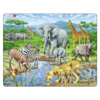 Africká savana FH9 - puzzle z kategorie Naučné puzzle