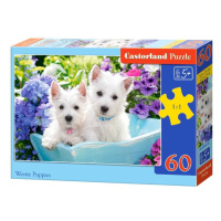 mamido  Puzzle 60 dílků štěňátka Westie