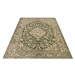 Hanse Home Collection koberce Kusový koberec Catania 105889 Mahat Green - 200x285 cm