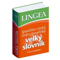 Španělsko-český, česko-španělský velký slovník....nejen pro překladatele