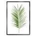 Dekoria Plakát Palm Leaf Green, 70 x 100 cm, Vybrat rám: Černý