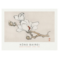 Obrazová reprodukce Magnolia Blossom (Special Edition Japandi) - Kōno Bairei, (40 x 30 cm)
