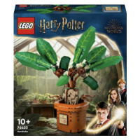 Mandragora - Harry Potter (76433)