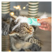 Akinu Vánoční polštářek s pírky pro kočky