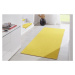 Hanse Home Collection koberce Kusový koberec Fancy 103002 Gelb - žlutý - 200x280 cm