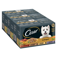 Cesar Country Kitchen Favourites míchané balení - 24 x 150 g