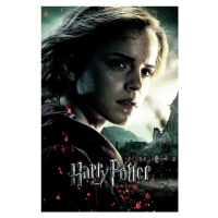 Umělecký tisk Hermione Granger - Deathly Hallows, (26.7 x 40 cm)