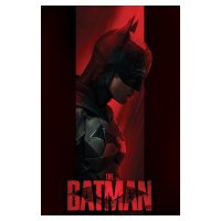 Plakát, Obraz - The Batman - Out of the Shadows, (61 x 91.5 cm)