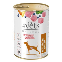 4vets NATURAL VETERINARY EXCLUSIVE WEIGHT REDUCTION 400g pro psy na redukci hmotnosti