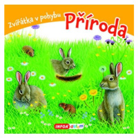 Příroda - Zvířátka v pohybu