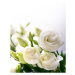 Umělecká fotografie Beautiful flower bouquet with white Lisianthus, Black Lollipop, (26.7 x 40 c