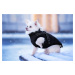 Vsepropejska Achar zimní bunda pro psa s postrojem Barva: Černá, Délka zad (cm): 22, Obvod hrudn