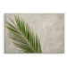 MyBestHome BOX Plátno Palmový List Na Betonovém Pozadí Varianta: 120x80