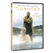 Tlumočník - DVD