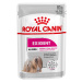 Royal Canin Mini Exigent - jako doplněk: mokré krmivo 24 x 85 g Royal Canin Exigent