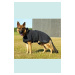 Obleček Rehab Dog Blanket Softshell 36 cm KRUUSE