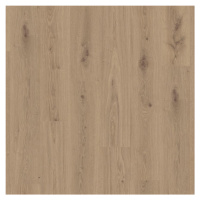 Vinylová podlaha LVT Delicate Oak Chesnut 4,5mm 0,30mm Starfloor 30