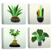 Obrazy v sadě 4 ks 30x30 cm Plants – Wallity