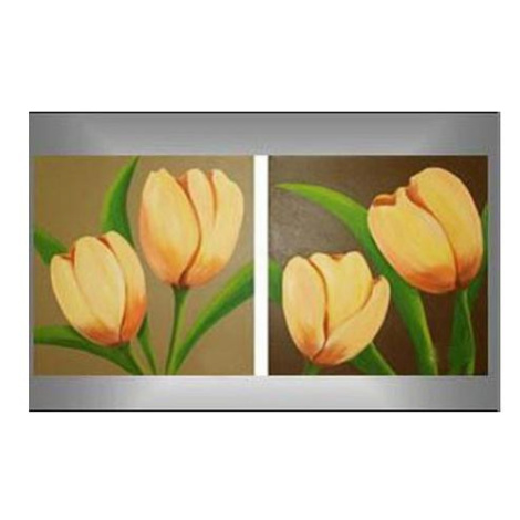 Vícedílné obrazy - Tulipány, 2x 40x40cm FOR LIVING