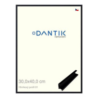 DANTIK rámeček 30 × 40, ALU profil 7001 Černý matný plexi čiré