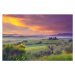 Fotografie Landscape in Tuscany, Peter Zelei Images, 40 × 26.7 cm