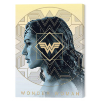 Obraz na plátně Wonder Woman 1984 - Amazonian Pride, 2 - 30×40 cm