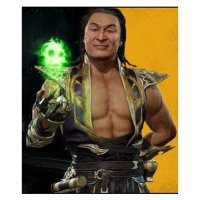 Mortal Kombat 11 Shang Tsung (PC) Steam DIGITAL