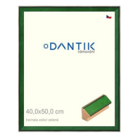 DANTIK rámeček 40 × 50, INCLINATA colori zelený sklo čiré