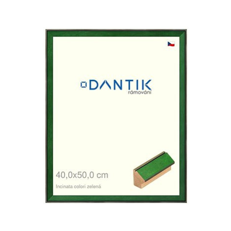 DANTIK rámeček 40 × 50, INCLINATA colori zelený sklo čiré