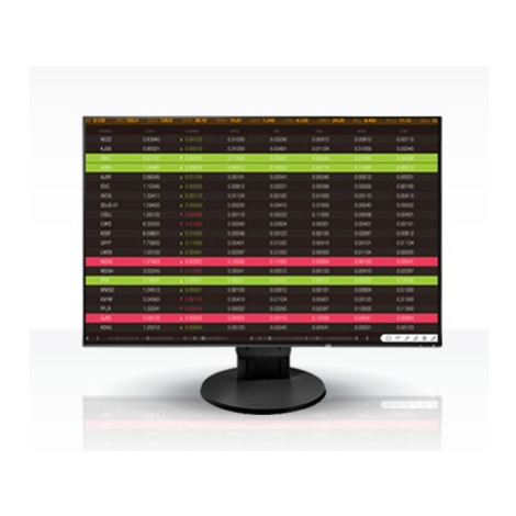 EIZO EV2456-WUXGA