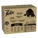 Jumbopack Felix "Tasty Shreds" kapsičky 120 x 80 g - míchané balení v omáčce