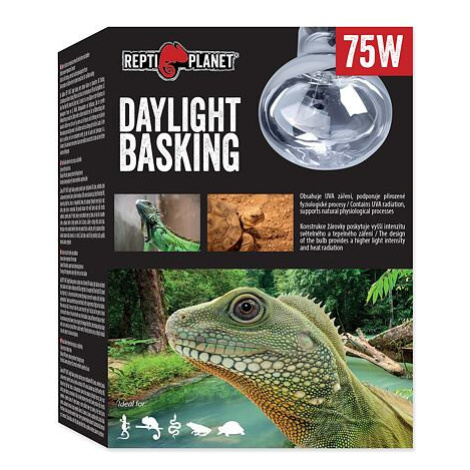 Žárovka REPTI PLANET Daylight Basking Spot 75 W