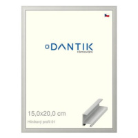 DANTIK rámeček 15 × 20, ALU profil 6001 Stříbrný matný sklo čiré