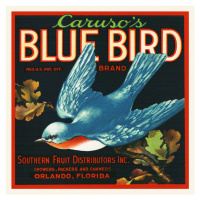 Obrazová reprodukce Caruso's Blue Bird Brand, Florida Crate Labels, 40 × 40 cm