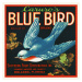 Obrazová reprodukce Caruso's Blue Bird Brand, Florida Crate Labels, 40 × 40 cm