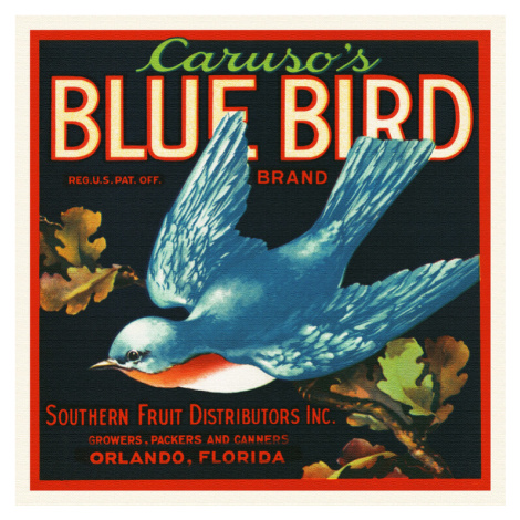 Obrazová reprodukce Caruso's Blue Bird Brand (Colourful Retro Graphic / Vintage Fruit & Fresh Pr