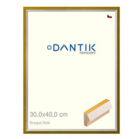 DANTIK rámeček 30 × 40, EVOQUE žlutý plexi čiré